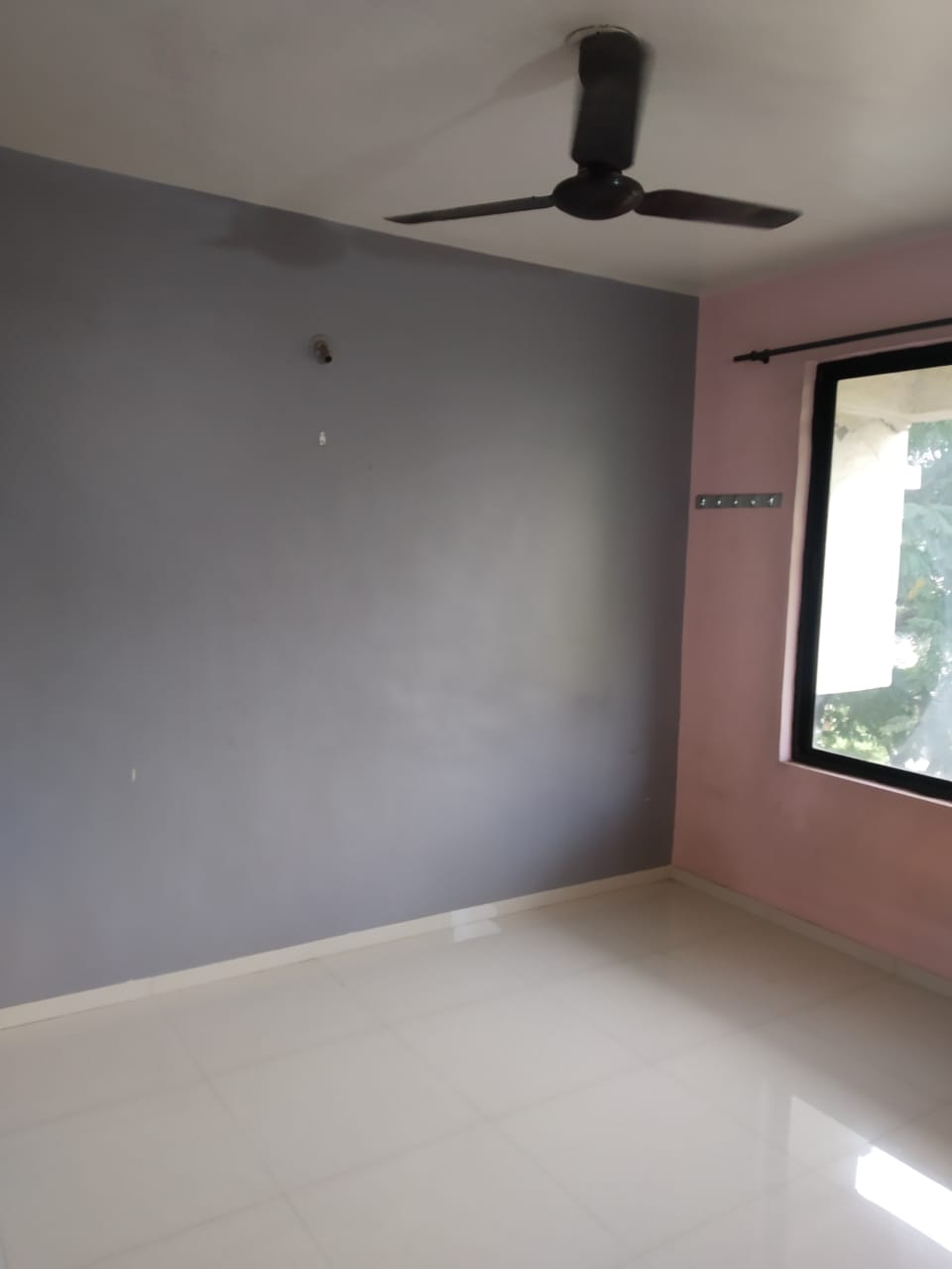 latest property